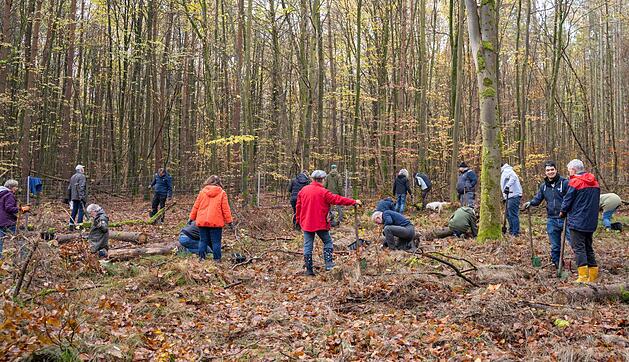Acht Concordler und 17 Vereins-Mitglieder trafen sich am 11.11. um 9 Uhr im Ebracher Forst.