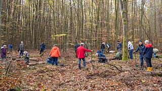 Acht Concordler und 17 Vereins-Mitglieder trafen sich am 11.11. um 9 Uhr im Ebracher Forst. Acht Concordler und 17 Vereins-Mitglieder trafen sich am 11.11. um 9 Uhr im Ebracher Forst.