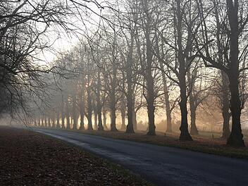 Sonne und Regen im Wechsel - zudem soll es Nebel geben.