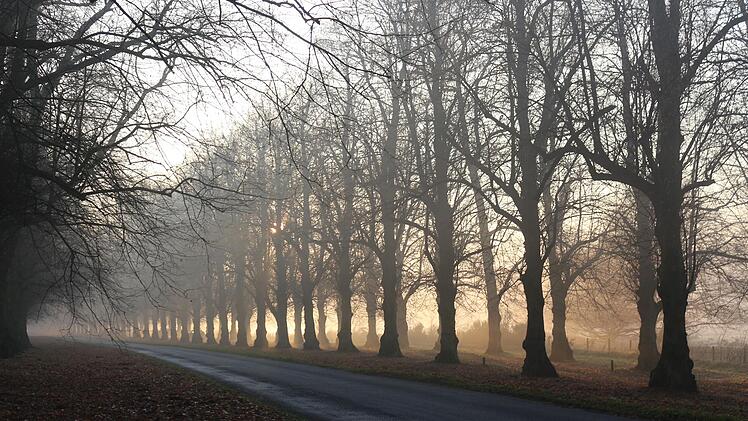Sonne und Regen im Wechsel - zudem soll es Nebel geben.