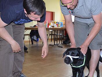 Hündin Scooby lässt sich die Übung mit der Binde als Beißschutz artig gefallen. Fotos: Rainer Lutz