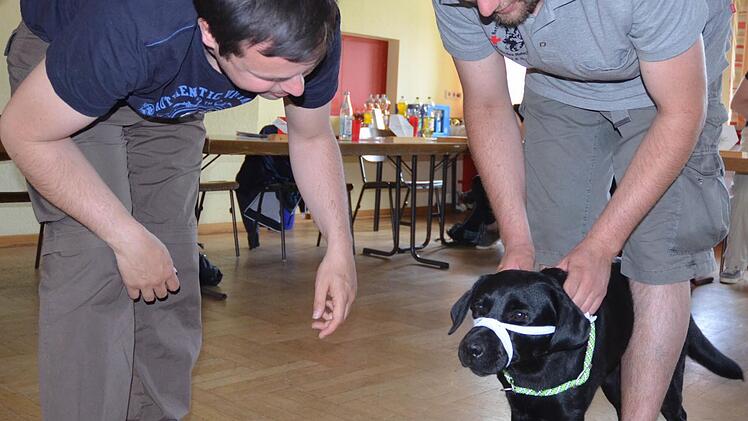 Hündin Scooby lässt sich die Übung mit der Binde als Beißschutz artig gefallen. Fotos: Rainer Lutz
