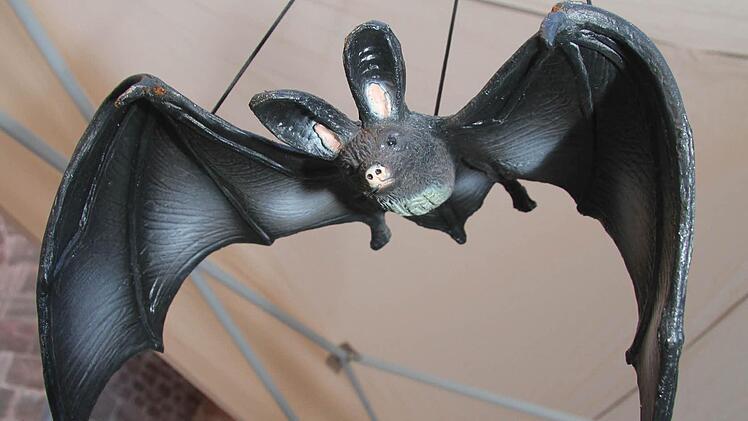 Ganz im Zeichen der Fledermaus stand am Samstagabend die Plassenburg. Viele Fans kamen, um die Tiere live zu erleben. Und alle staunten, wie viele Fledermäuse um die Burg schwirren. Fotos: Sonja Adam