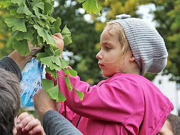 Kulmbacher Kinder behängten gestern den Baum der Menschenrechte. Foto: Katharina Müller-Sanke