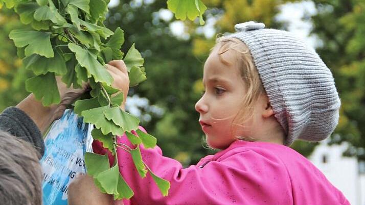 Kulmbacher Kinder behängten gestern den Baum der Menschenrechte. Foto: Katharina Müller-Sanke
