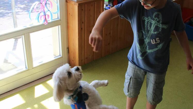 Ein Tänzchen für Brian.