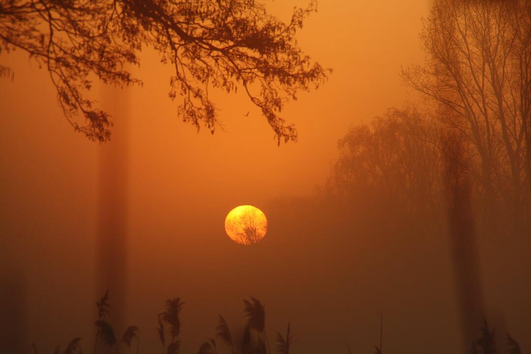 Frühling in Forchheim und Umgebung: Die schönsten Fotos unserer Nutzer