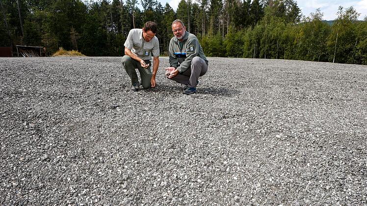 Revierleiter Matthias Ott (links) und Abteilungsleiter Gregor Schießl vom Forstamt Scheßlitz auf der Asphalthalde.Foto: Matthias Hoch