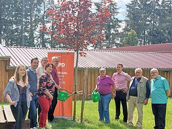 Der Rotahorn, den der SPD-Ortsverein Thurnau aus Anlass seines 100-jährigen Bestehens der Marktgemeinde gestiftet hat, ist gut angewachsen. Nachdem eine offizielle Pflanzaktion coronabedingt ausfallen musste, gossen die Sozialdemokraten den Baum nun wenigstens tüchtig an.