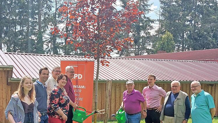 Der Rotahorn, den der SPD-Ortsverein Thurnau aus Anlass seines 100-jährigen Bestehens der Marktgemeinde gestiftet hat, ist gut angewachsen. Nachdem eine offizielle Pflanzaktion coronabedingt ausfallen musste, gossen die Sozialdemokraten den Baum nun wenigstens tüchtig an.