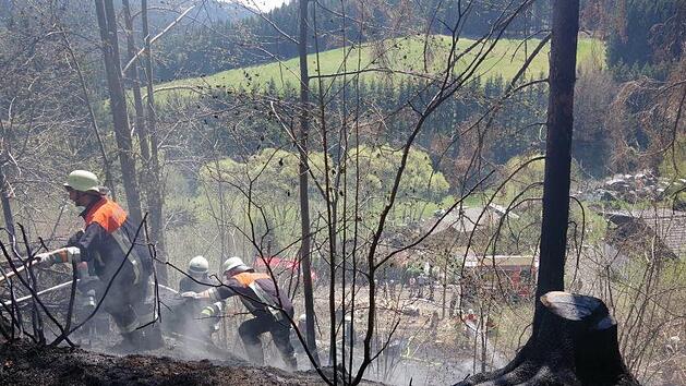 Bei Gifting stand eine 50 Quadratmeter gro&szlig;e Fl&auml;che in Flammen. Foto: Heike Sch&uuml;lein