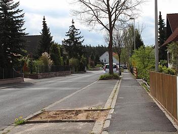 In der Gablonzer Straße in Höchstadt wurden bereits einige der stattlichen Eichen auf öffentlichem Grund gefällt.  Foto: Andreas Dorsch