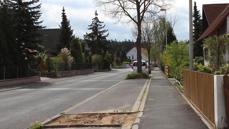 In der Gablonzer Straße in Höchstadt wurden bereits einige der stattlichen Eichen auf öffentlichem Grund gefällt.  Foto: Andreas Dorsch
