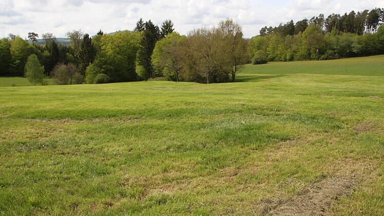 Der unbedarfte Beobachter merkt nicht, dass er auf einer alten Siedlung steht. Foto: Ulrike Müller