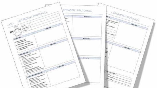 Gesprächsleitfaden/Protokoll Quelle: Raab, A./ Wolf, J./ Legl, K. (2016)