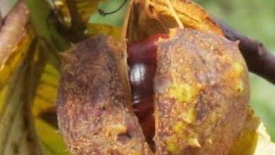 Userfoto: Holger Hentschel