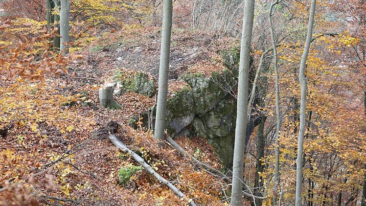 Der Fels von oben Foto: Barbara Herbst