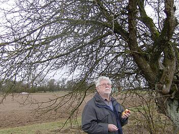 Der Obstkreisfachberater Tobias Vogel vor einem seltenen Wildapfelbaum Foto: Malbrich