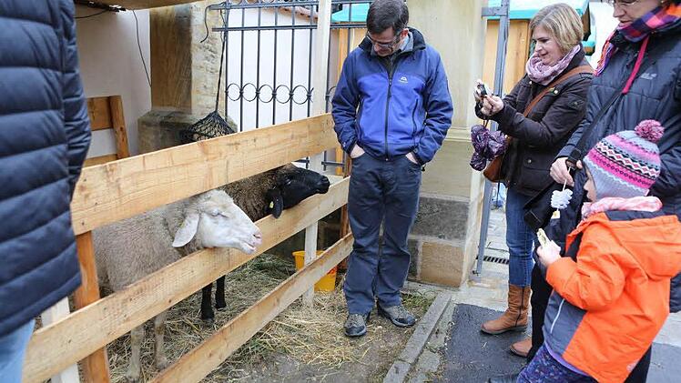 Foto: Barbara Herbst