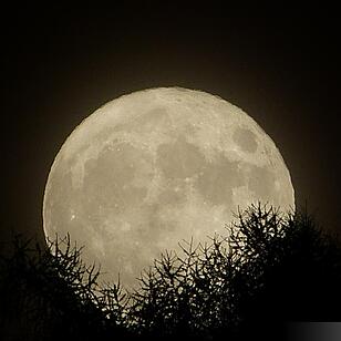 Supermond hinter dem Stammberg (Kremmeldorf)