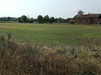 Rund 2400 Quadratmeter in unmittelbare Nähe der Strullendorfer Kläranlage würden für die geplante Klärschlammtrockenanlage gebraucht.