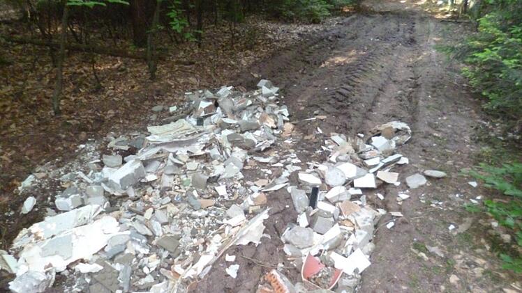 Eine ganze Wagenladung alter Fließen und Tapeten hat ein Unbekannter am "Fuchsweg" im Stettfelder Wald an der Grenze zu Schönbrunn abgeladen.  Foto: Doris Simon