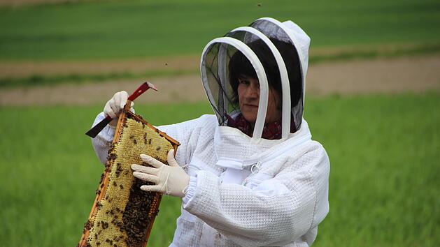 "Die Bienen sammeln Propolis, das nachgewiesen antibakteriell wirkt", wei&szlig; Imkerin Mirjam Prechtel-Knapp. Foto: Mirjam Stumpf