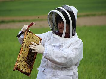 "Die Bienen sammeln Propolis, das nachgewiesen antibakteriell wirkt", weiß Imkerin Mirjam Prechtel-Knapp. Foto: Mirjam Stumpf