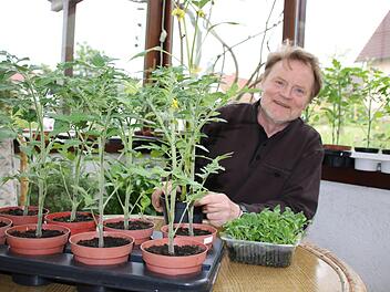 Joachim Schröpfer nutzt seinen Wintergarten, um Pflanzen selbst zu ziehen. Nicht nur 40 Tomatenpflanzen stehen momentan darin, auch exotische Exemplare. Auf dem Tisch ist eine Schale Neuseeländer Spinat sehen. Mit dem unterpflanzt er die Tomaten.  Foto: Kathrin Kupka-Hahn