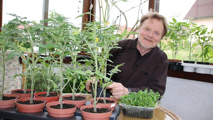 Joachim Schröpfer nutzt seinen Wintergarten, um Pflanzen selbst zu ziehen. Nicht nur 40 Tomatenpflanzen stehen momentan darin, auch exotische Exemplare. Auf dem Tisch ist eine Schale Neuseeländer Spinat sehen. Mit dem unterpflanzt er die Tomaten.  Foto: Kathrin Kupka-Hahn