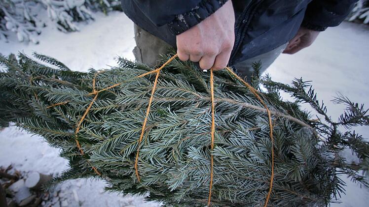 Symbolfoto: Fredrik Von Erichsen/dpa