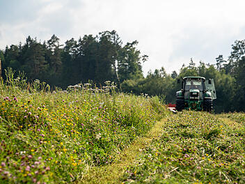 Ok&ouml;kontofl&auml;che entsteht im Landkreis Bayreuth: Damit der Standort mager bleibt, wird die Wiese zweimal im Jahr