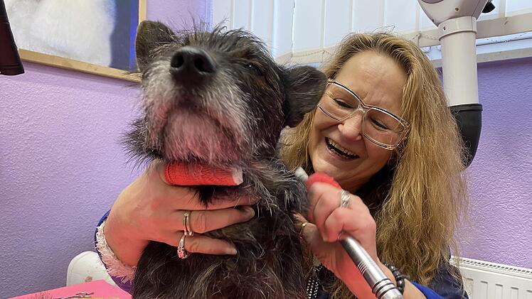 Ilona Nauth hat viel Freude an ihrer Arbeit. Und auch Terrier Whisky scheint die Fellpflege zu genießen.
