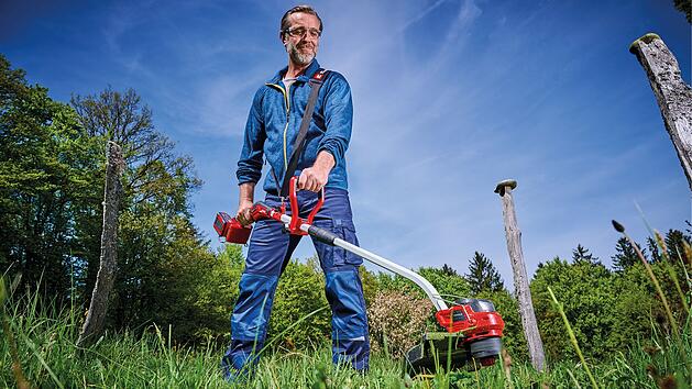 Garten, Gartenarbeit, Rasen, Wiese, Pflege, Werkzeuge, Natur, Angebote, Rasentrimmer, Einhell