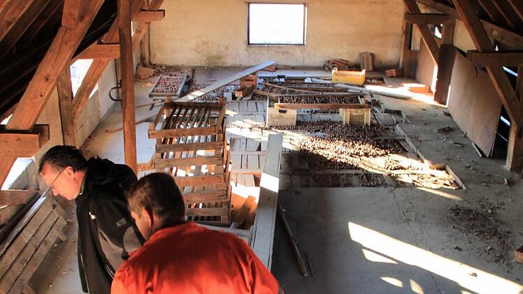 Foto: Matthias Einwag