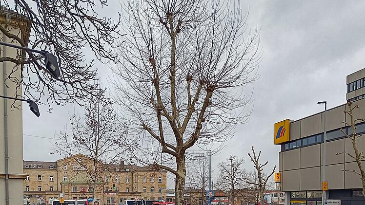 Große Demo in Bamberg: Tausende Menschen ziehen durch die Straßen