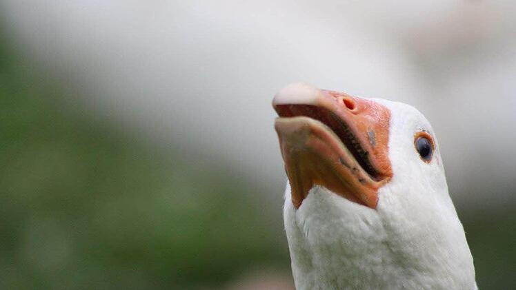 Foto: Valentina Seeler, Ort: keine Angabe