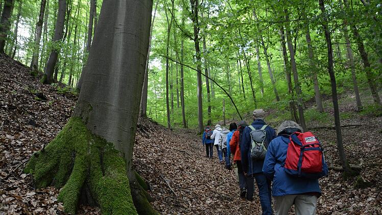 Sodenberg: Steil bergan geht es mit der BUND-Wanderern aus ganz Deutschland zum ehemaligen Basaltwerk und heutigem Naturschutzgebiet Sodenberg-Gans. Statt einer geplanten Deponie ist dort jetzt ein Rückzugsort für Vögel und seltene Pflanzen.Elisabeth Assmann