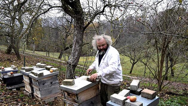 Wichtig ist die st&auml;ndige Kontrolle der St&ouml;cke auf Brut, damit die Bek&auml;mpfung der Varroamilbe Erfolg hat. Foto: Andreas Welz