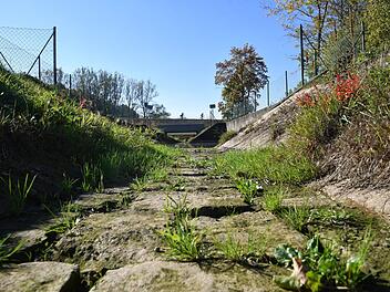 Monatelang war der Sendelbach 2018 in Bamberg bis auf den letzten Tropfen ausgetrocknet. Werden sich solche Wetteranomalien künftig häufen? Foto: Ronald Rinklef