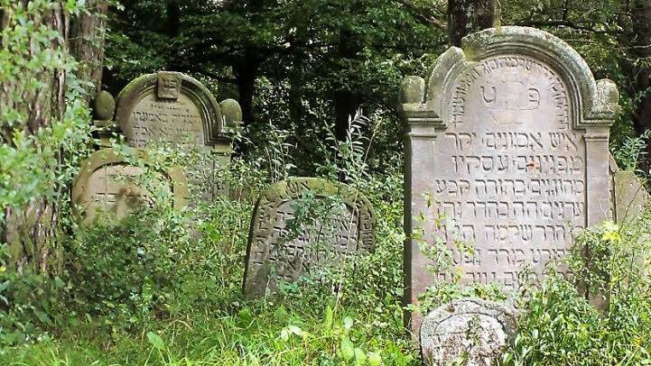 Der Judenfriedhof in Ebern ist jetzt Gegenstand einer  beeindruckenden virtuellen Präsentation Archivfoto: Johanna Krause