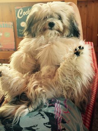 Foto: Cooper2014