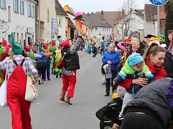 Der Faschingsumzug in Höchstadt war auch 2017 wieder sehr gut besucht. Foto: Christian Bauriedel