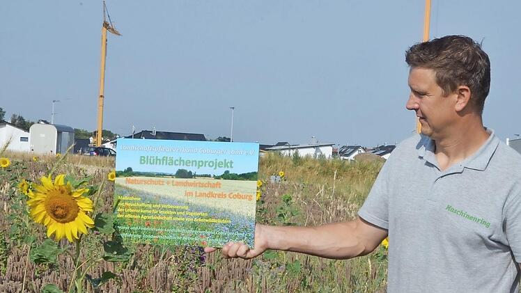 Andreas Sollmann zeigt eine Infotafel, die an den Blühflächen Interessierte aufklärt, warum dieser Acker schon ein bisschen wild aussieht.
