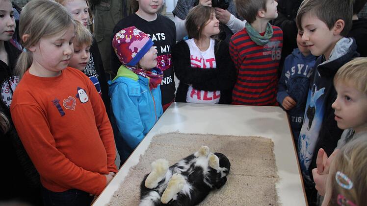 Ein "schlafendes Kaninchen": Da staunten die Kinder  nicht schlecht. Foto: Gerda Völk