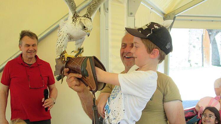 Sven Reinharts Falke ist ein Jagd-Falke. Mutige wie Nils ließen ihn auf ihrem behandschuhten Arm landen.  Foto: Winfried Ehling