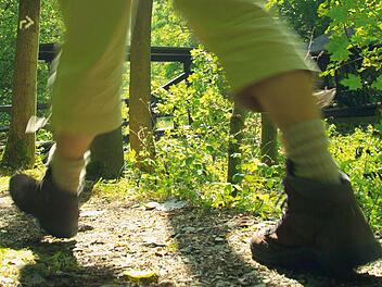 Foto: Frankenwald Tourismus