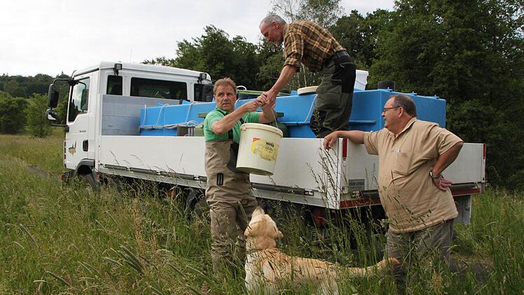 Mit geübten Handgriffen reicht er den Helfern vom Bad Brückenauer Fischereiverein die kostbare Fracht. Foto: Ulrike Müller