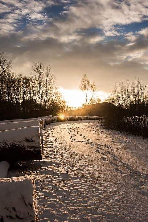Schnee und Eis - Die schönsten Aufnahmen aus Franken