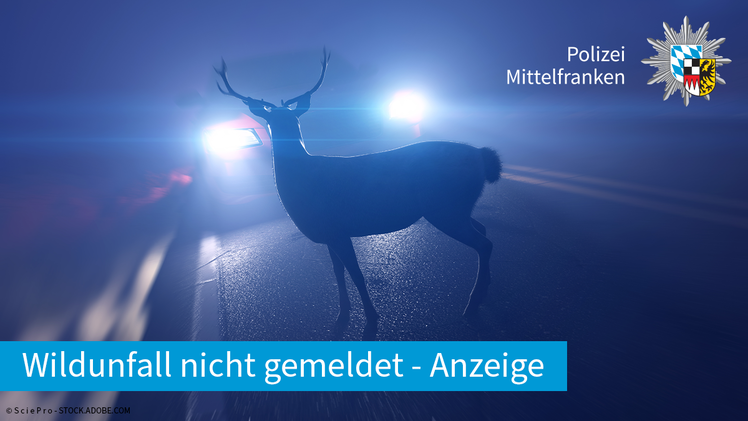 Anzeige gegen Autofahrer nach Wildunfall bei Uttenreuth